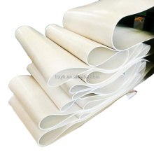 Ceintures en tissu de nylon EP de couleur blanche multicouches ceinture industrielle blanche